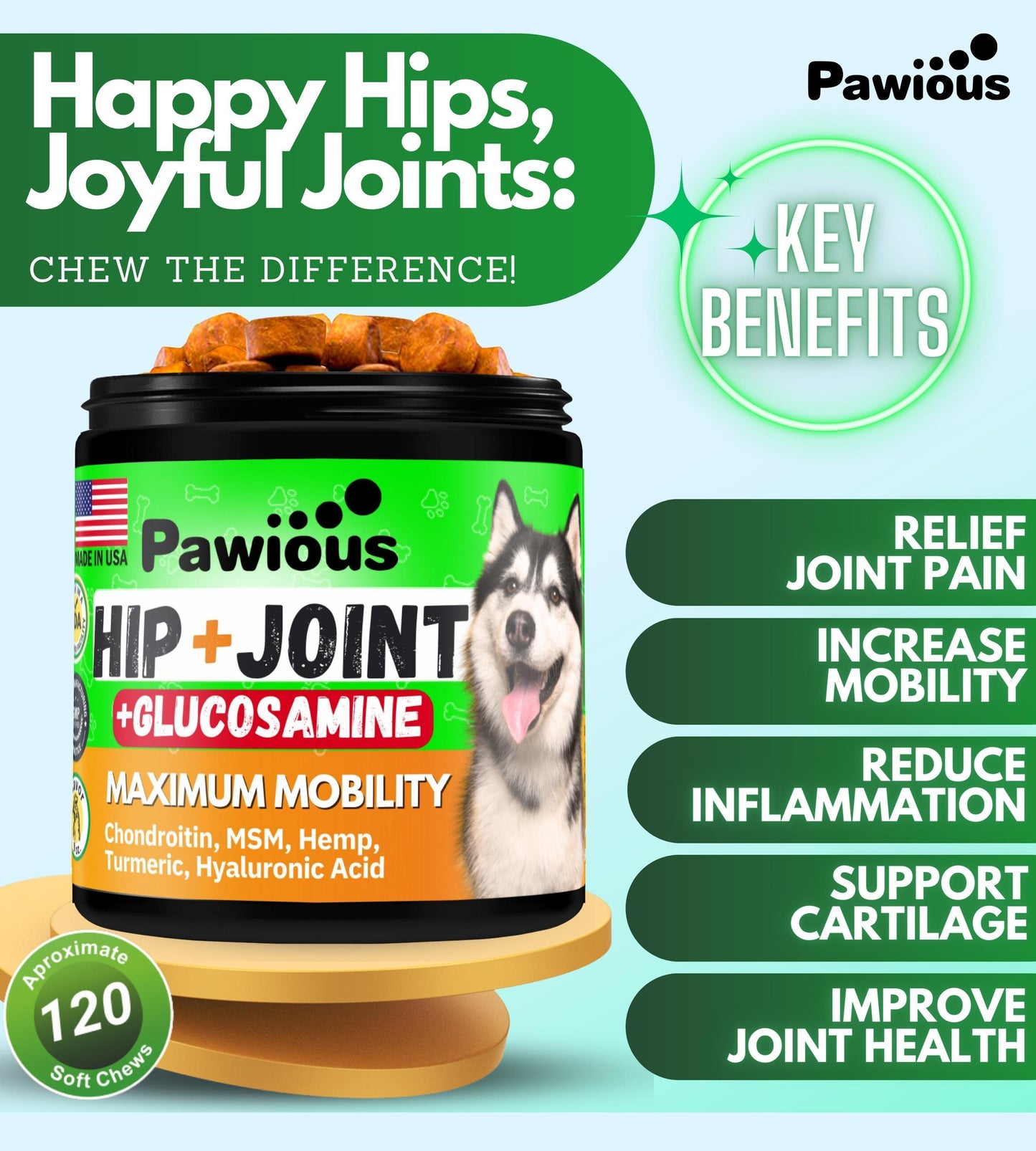 Hip and Joint Supplement for Dogs   Glucosamine for Dogs   Dog