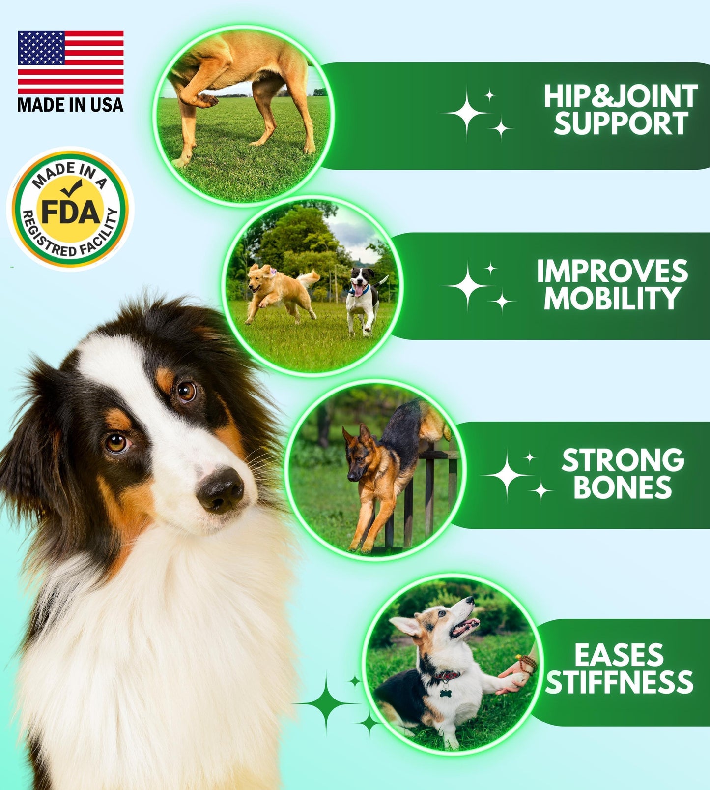 Hip and Joint Supplement for Dogs   Glucosamine for Dogs   Dog